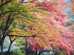 紅葉の香嵐渓と奥三河のナイアガラ 昼は熊骨ラーメン！