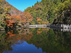 紅葉穴場巡り(滋賀・湖西)