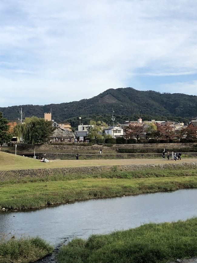 大学時代の同期会にあわせて連れ合いと一泊二日で京都に行ってきました。1日目は連れ合いは関西の友人に会いに大阪へ、私は同期会で京田辺から伏見へ。2日目は二人で北白川一乗寺から出町柳をぶらぶらしました。紅葉には少し早かったですが、お天気に恵まれて良い旅行となりました。