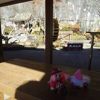 魅惑の飛騨牛と、秋の絶景を存分に味わうヨ！　飛騨高山編 #36