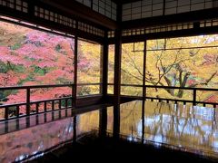 １１月末　瑠璃光院の紅葉