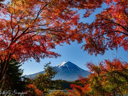 富士五湖