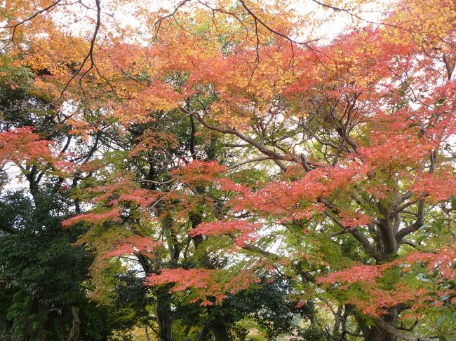 若草山山頂からの眺望をみて若草山を一気に下って二月堂へ向かいます