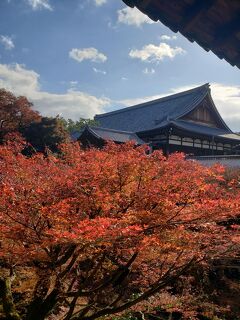 シニアトラベラー！　京都日帰り満喫の旅