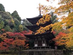 湖北の観音めぐり・湖東三山の紅葉・信楽焼