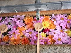 ちょこっとご近所で”花手水と紅葉”「伊和志津神社」