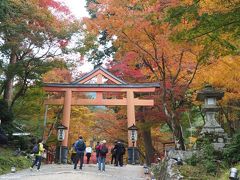 2019秋 関西の紅葉狩り：その１　西教寺～日吉大社～三井寺