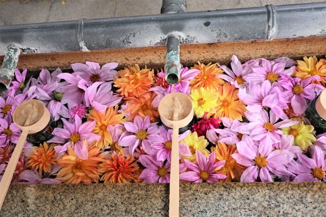水堂須佐男神社 みずどうすさのおじんじゃ の 花手水 と 花天井 尼崎 兵庫県 の旅行記 ブログ By Yokoさん フォートラベル