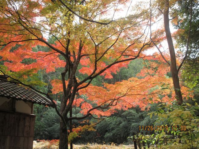 湖南三山滋賀県の南東部に位置し、南に阿星山系、北に岩根山系、中央には琵琶湖に注ぐ最大の河川である野洲川が流れる湖南市は石部町と甲西町が合併し平成16年に誕生しました。この湖南市に奈良時代に建立された天台寺院で国宝に指定された長寿寺、常楽寺、善水寺の三ヵ寺の建築物を”湖南三山”と称することになりました。長寿寺聖武天皇の天平年中に良弁僧正によって建立された勅願寺であり、現在国宝に指定されている。その昔、聖武天皇が大仏造立のため紫香楽宮に遷都された折、世継ぎの誕生を良弁に祈請せしめたところ、良弁は阿星山中の瀑布に籠って祈り、間もなく皇女の降誕をみるに至った。そこで天皇は、皇女の生誕にちなむ子安地蔵尊を行基菩薩に刻ませて、紫香楽宮の鬼門に当たる東寺に七堂伽藍、廿四坊の寺を建立し本尊とした。そして皇女の長寿を願い長寿寺という寺号を授けたと伝えられている。現在は国宝の本堂、重文の弁天堂、丈六阿弥陀如来坐像、釈迦如来坐像、阿弥陀如来坐像、十六羅漢図などが残されている。天気は曇り空でしたが紅葉は素晴らしく、参道に所々置かれている動物の焼き物も可愛く飽きません。この日は運よく竹灯籠の展示もされていました。駐車場も整備され穴場の紅葉スポットです。