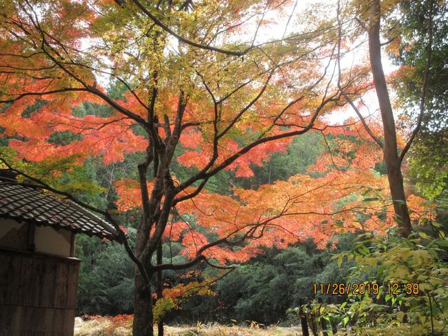 湖南三山<br />滋賀県の南東部に位置し、南に阿星山系、北に岩根山系、中央には琵琶湖に注ぐ最大の河川である野洲川が流れる湖南市は石部町と甲西町が合併し平成１６年に誕生しました。この湖南市に奈良時代に建立された天台寺院で国宝に指定された長寿寺、常楽寺、善水寺の三ヵ寺の建築物を”湖南三山”と称することになりました。<br /><br />長寿寺<br />聖武天皇の天平年中に良弁僧正によって建立された勅願寺であり、現在国宝に指定されている。その昔、聖武天皇が大仏造立のため紫香楽宮に遷都された折、世継ぎの誕生を良弁に祈請せしめたところ、良弁は阿星山中の瀑布に籠って祈り、間もなく皇女の降誕をみるに至った。そこで天皇は、皇女の生誕にちなむ子安地蔵尊を行基菩薩に刻ませて、紫香楽宮の鬼門に当たる東寺に七堂伽藍、廿四坊の寺を建立し本尊とした。そして皇女の長寿を願い長寿寺という寺号を授けたと伝えられている。<br />現在は国宝の本堂、重文の弁天堂、丈六阿弥陀如来坐像、釈迦如来坐像、阿弥陀如来坐像、十六羅漢図などが残されている。<br /><br />天気は曇り空でしたが紅葉は素晴らしく、参道に所々置かれている動物の焼き物も可愛く飽きません。この日は運よく竹灯籠の展示もされていました。<br />駐車場も整備され穴場の紅葉スポットです。