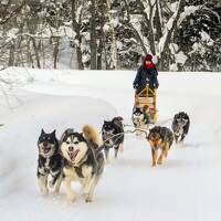 しばれるね！北の大地 後編