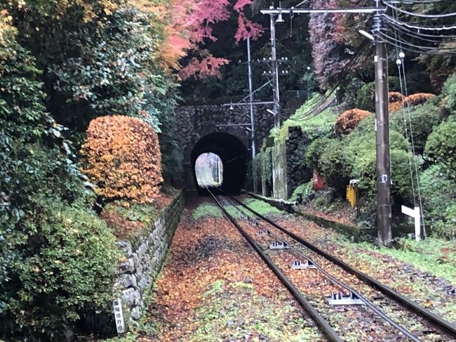 雨の寒い日 こんな日だから空いているかもと 高尾山に行きました