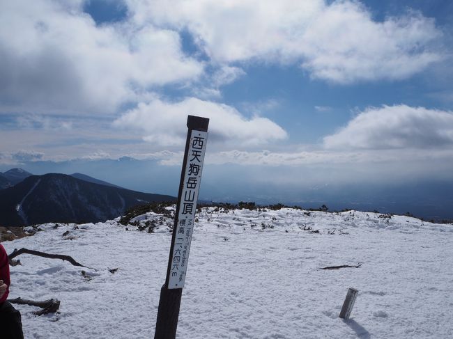 2018年年末の燕山荘に続き、またまた雪山入門に連れてっていただきました。<br />今回もしらびそ小屋、黒百合ヒュッテに泊まるゆったり山旅、厚切りトーストやビーフシチューをいただきました。<br /><br />2/22（金）自宅出発、稲子湯→しらびそ小屋（泊）<br />2/23（土）しらびそ小屋→黒百合ヒュッテ→天狗岳→黒百合ヒュッテ<br />2/24（日）黒百合ヒュッテ→しらびそ小屋→稲子湯<br />