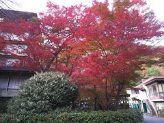 紅葉の下部温泉