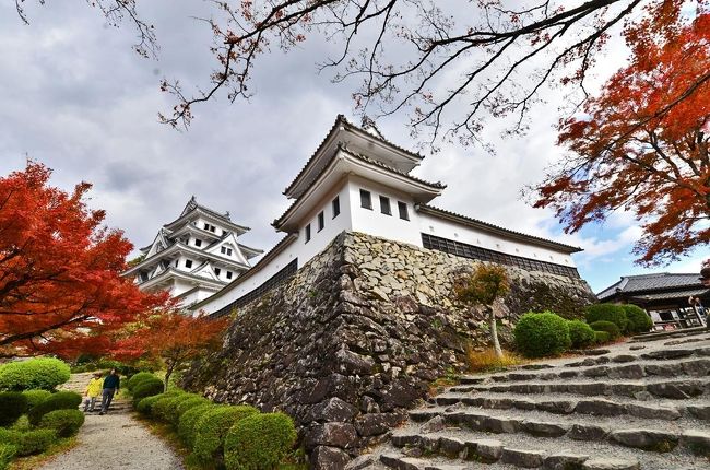 19紅葉 日本最古の木造再建城郡上八幡の紅葉 6 郡上八幡 岐阜県 の旅行記 ブログ By 風に吹かれて旅人さん フォートラベル