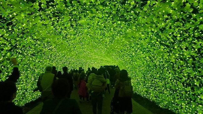 その2からの続きです。<br /><br />写真は、スポットの「菜の花」です。