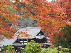 2019秋 関西の紅葉狩り：その２ 奈良飛鳥・岡寺～石舞台古墳、久米寺、橿原神宮