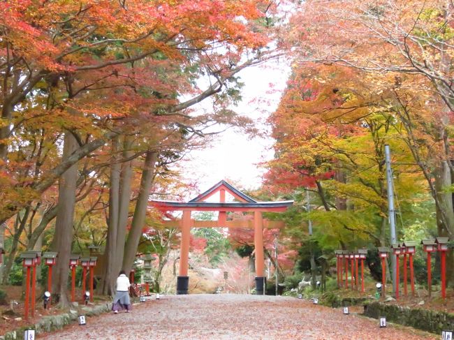 旧竹林院～日吉大社と坂本散策