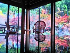 シニア夫婦温泉旅　嬉野温泉＆佐賀の紅葉を訪ねて　前半