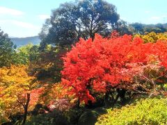 シニア夫婦温泉旅　嬉野温泉＆佐賀の紅葉を訪ねて　後半
