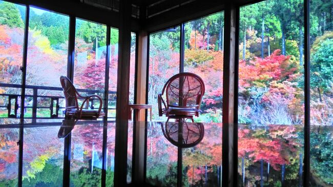 　数ある温泉の中でも、佐賀県の嬉野温泉は最も好きな温泉の一つです。毎年のように行くのは、私の知っている温泉の中で、どこよりもお湯がつるつるでお肌がすべすべになるのです。今回の旅行の目的は、嬉野温泉に行くことと「九年庵」の紅葉、「環境芸術の森」の紅葉を見に行くことでした。以前、夫がインフルエンザに罹ったため、直前にキャンセルしたホテルがありました。今回はそこに宿泊することにしました。とんでもないアクシデントに見舞われるとも知らずに…