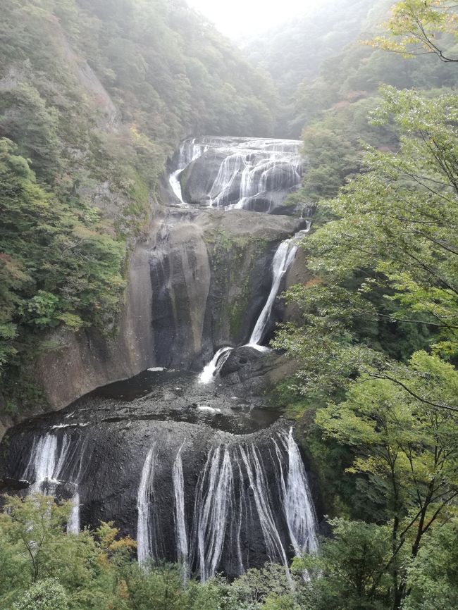 日本の三名滝の一つ袋田の滝に行ってきた。一見の価値大いにありました。　<br />もともとテレビを見ていたら100年名店という番組をやっており土浦にある＜ほたて＞という天ぷら屋のかき揚げが紹介されていた。秘蔵のたれを漬けたかき揚げ丼があまりにも美味しそうで行くことにした。地図を調べると土浦から2時間も走らず袋田の滝に行けることが判り、序に行くことにした。かき揚げ丼は期待通りだった。チョット味が濃いかなといったところ。<br />袋田の滝は朝一番で行ったので人も少なく、滝の脇にはトンネルとエレベーターがあり簡単に滝つぼの脇まで行ける。西行法師が四度の滝と言うので滝が四段になっていることを指していると思ったら、その意味も含めて春夏秋冬それぞれ異なる景色になるので四回は来る価値があるという意味らしい。その後土浦に戻り霞ヶ浦を半周して潮来まで行き水郷を見て帰って来た。<br />