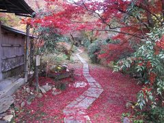 2019年秋、京都の紅葉　東福寺～南禅寺(三門前)～永観堂～鹿王院～直指庵～大覚寺(大沢の池)へ