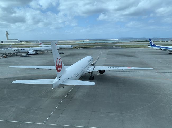 有給休暇消化の定年退職目前の沖縄一人旅。<br />旅の目的は綺麗な海とオリオンビール。<br />名所旧跡には近づかないはずだったのですが・・・。<br /><br />ホテルやお店、あちこち写真撮るのって人の目が気になり意外に難しい。