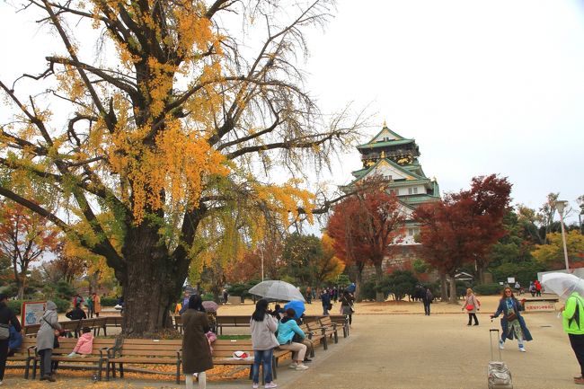 大阪城公園の紅葉　色あせ始め<br /><br />小雨がぱらつく生憎の天気でしたが、それはそれで紅葉を楽しむことができました。