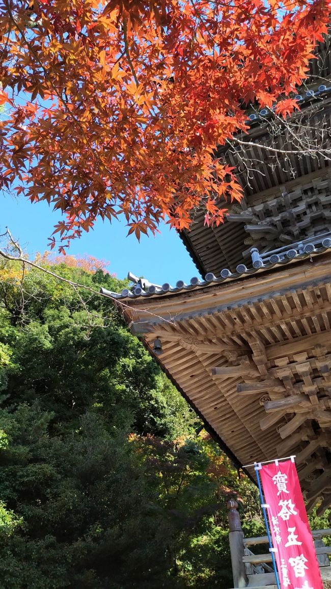 神在月の出雲を訪ねて(その1/米子・安来)