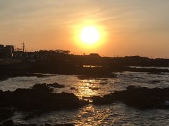 初★チェジュ島