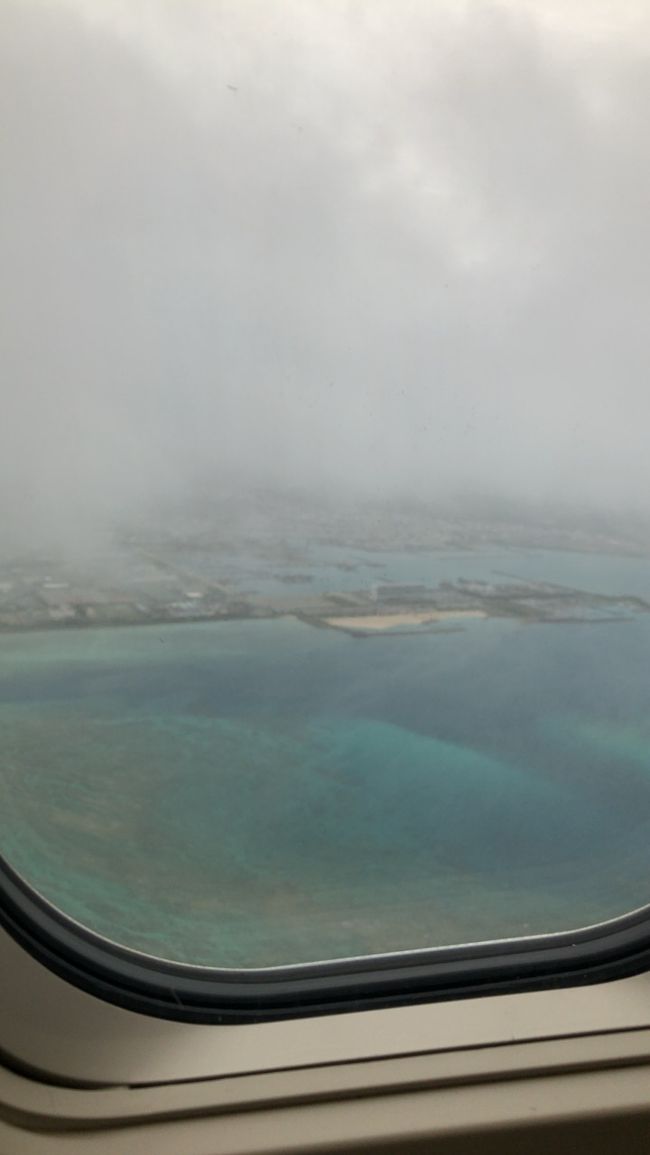 2019年最後の海旅。<br />11月なのに台風発生で、那覇引き返しの初日と2日目です。