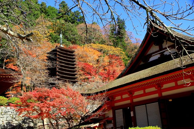 談山神社<br /><br />色あせ始めの紅葉ですが、<br />さすがに奈良県随一の紅葉の名所。平日にもかかわらずたくさんの観光者でした。<br />第１駐車場も満車状態でした。<br /><br /><br />