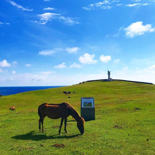 一泊二日で日本最西端の島、与那国島を巡ってきました。<br />一泊じゃあ足りないなーと思いました。いつか海底遺跡にも潜ってみたいです。