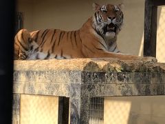 ウェスティン京都、京都動物園