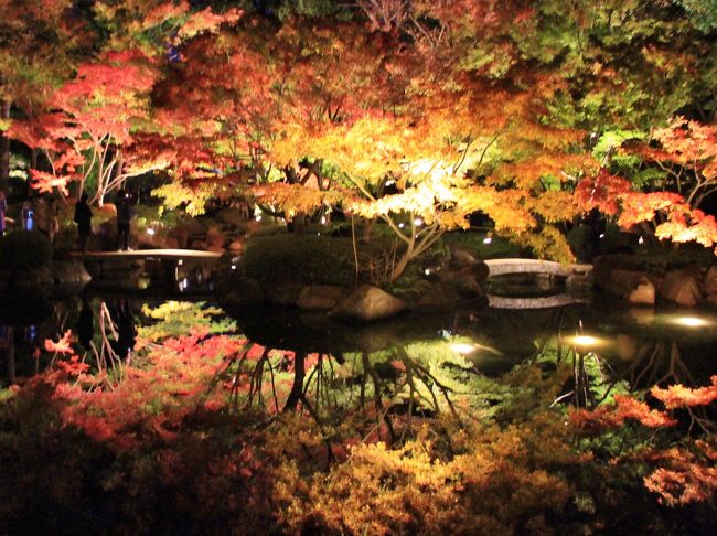 荻窪散策 大田黒公園の紅葉 ライトアップも ほか19年11月 荻窪 西荻窪 東京 の旅行記 ブログ By 温泉大好きさん フォートラベル