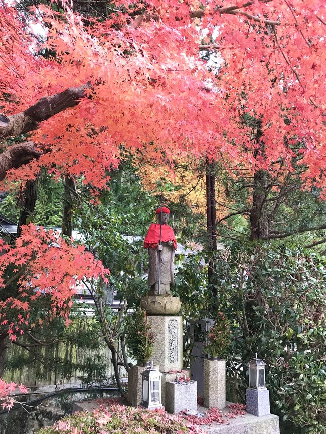 高野山でお寺に泊まり、奈良のお寺をめぐり、難波でお笑いライブを見て、帰りに名古屋に寄りました。<br />まずは東京から高野山へ。<br /><br /><br />羽田空港　関西国際空港　高野山金剛峯寺　持明院　橋本　金峯山寺　脳天大神　薬師寺　唐招提寺　ならまち　興福寺　裏なんば　NGK  今井町　室生寺　名古屋