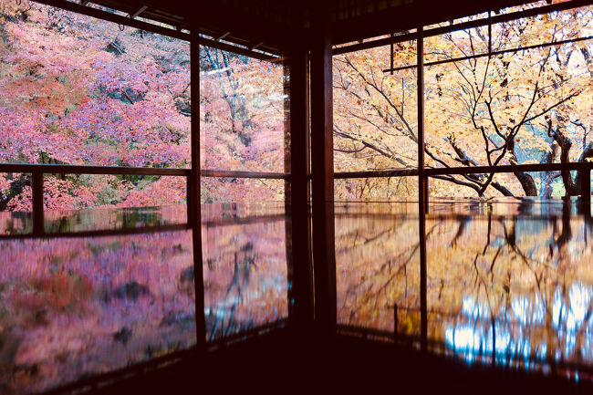 一度訪ねてみたかった秋の京都。<br />若干紅葉のピークは過ぎていた感はあるけど、やっぱり京都と紅葉はよく似合う！