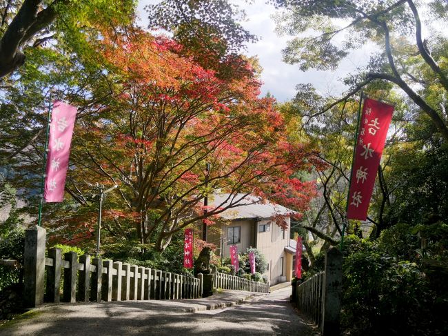 2019.11吉野・奈良一人旅2-吉野ロープウエィ，金峯山寺蔵王堂の特別拝観，吉水神社