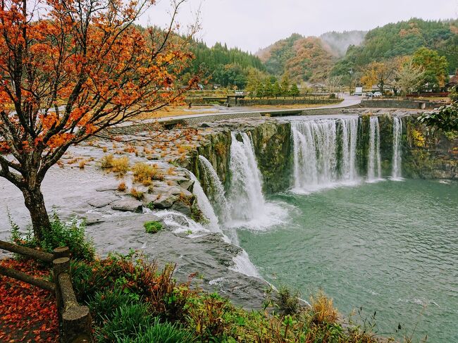 11月27日から2泊3日で、大分の奥さんの実家に行って来ました。<br />初日は、国東半島の両子寺などを回ってきました。<br /><br />2日目は豊後大野の親戚回りをし、その後、緒方地区の原尻の滝や用作公園の素敵な紅葉を見て回りました。<br /><br />そして夕方からは、会社の契約保養施設である、ベネフィットステーション由布高原に宿泊しました。