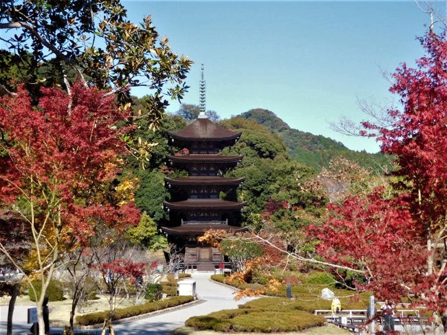 県立美術館で岸田劉生展を見たあとは、近くの亀山公園に行きました。<br />亀山公園の丘の上からは瑠璃光寺の五重塔が見えました。<br />今回は行かないでおこうかな・・・・と思いましたが、紅葉が見られそうなので行って見ることにしました。