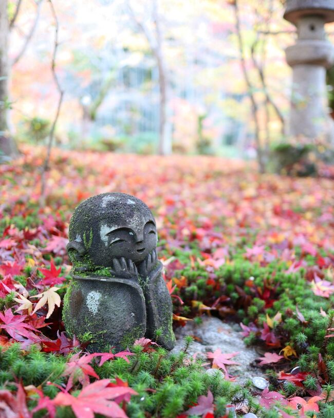 秋の京都＊詩仙堂～圓光寺