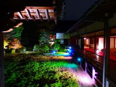 隨心院門跡の秋の夜は　青苔も青もみじも　ほんのり紅く