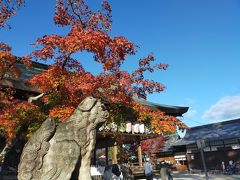 紅葉の秋、定番の京都めぐり