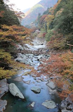 四国周遊・・日本３大秘境・祖谷渓と大歩危小歩危めぐります。