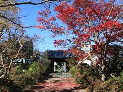 知る人ぞ知る西恩寺の紅葉　大阪府千早赤阪村