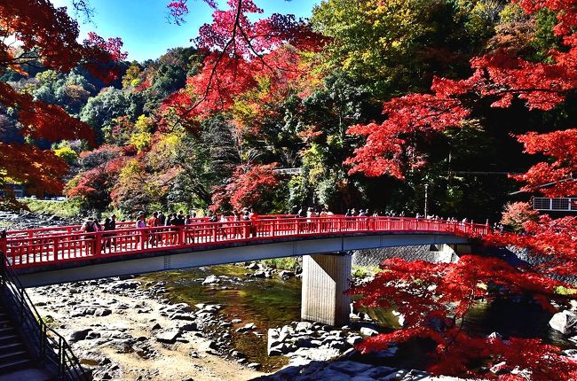 ☆豊田市足助町にある矢作川支流巴川がつくる渓谷で<br />　燃えるような紅葉，東海一の紅葉...香嵐渓。<br />　（香嵐渓の秋景色.紅葉狩り）<br />　　　　　　　秋色の香嵐渓もみじ<br />　　　　　　　　　錦秋の香嵐渓もみじ<br />　　　　　　　　　　　彩秋の香嵐渓もみじ<br />　　　　　　　　　　　　　晩秋の香嵐渓もみじ<br /><br />☆足助（あすけ）川沿いに続く古い町並み。<br />　足助町は豊田市のほぼ中央に位置し、<br />　かつて街道の宿場町として栄えたところ。<br />　現在は、国の「重要伝統的建造物群保存地区」に選定され、<br />　歴史ある町並みが保存されています。<br /><br />☆足助町を流れる足助川と巴川との分岐を、<br />　巴川沿いに上流へ少し上ったところが、<br />　愛知高原国定公園にも指定されている景勝地「香嵐渓」。<br /><br />☆香嵐渓のもみじは、<br />　約380年程前に香積寺11世住職の三栄和尚によって、<br />　和尚は、般若心経一巻を誦（じゅ）すごとに一本、また一本と、<br />　巴川沿いの参道から香積寺境内にかけ、楓や杉を植えていったのだそう。<br />　それで、長い間、香積寺のもみじと呼ばれ、親しまれていました。<br /><br />☆待月橋と巴橋を更に北へ行き落合橋方面から撮る。<br />　そして、いつものコースを通り撮る。<br />　　▲待月橋（たいげつきょう）と五色もみじ<br />　　▲香嵐橋（こうらんきょう）<br />　　▲飯盛山（いいもりやま）<br />　　▲足助（あすけ）川と巴川<br />　　▲待月橋と巴橋など<br /><br />☆香嵐渓は東海地方随一の紅葉の名所で、<br />　秋の装う衣替え　<br />　秋が深まり心にしみ入り心に迫る秋景色紅葉、<br />　絢爛豪華な秋色が広がる香嵐渓の世界へ<br />　11月に約4,000本のもみじが一斉に紅葉し絶景を織り成します。<br /><br />■■■■■2019　紅葉前線を探してあちらこちら■■■■■<br /><br />2019紅葉「飛騨美濃せせらぎ街道」（1）<br />　　　　　　　https://4travel.jp/travelogue/11565011<br />2019紅葉「第31回 谷汲もみじまつり（谷汲山華厳寺）」（2）<br />　　　　　　　https://4travel.jp/travelogue/11567659<br />2019紅葉　臥竜池に架かる無際橋へ秋彩紅葉～虎渓山永保寺（3）<br />　　　　　　　https://4travel.jp/travelogue/11569057<br />2019紅葉　紅葉を愛でながら博物館明治村その景観（紅葉）（4）<br />　　　　　　　https://4travel.jp/travelogue/11569856<br />2019紅葉　県営各務原公園・自然の遺産の森・法福寺の紅葉（5）<br />　　　　　　　https://4travel.jp/travelogue/11570974<br />2019紅葉　日本最古の木造再建城郡上八幡の紅葉（6）<br />　　　　　　　https://4travel.jp/travelogue/11571127<br />2019紅葉　東海一の紅葉の名所～足助町・香嵐渓（7）<br />　　　　　　　https://4travel.jp/travelogue/11572112<br />2019紅葉　豊田の奥座敷いなぶ大井平公園の紅葉（8）<br />　　　　　　　https://4travel.jp/travelogue/11573030<br />2019紅葉　湖北の鶏足寺・石道寺・意冨布良神社の紅葉（9）<br />　　　　　　　https://4travel.jp/travelogue/11573299<br />2019紅葉　近江の隠れた紅葉名所【胡宮神社】（10）<br />　　　　　　　https://4travel.jp/travelogue/11573839<br />2019紅葉　ゆく秋を惜しみながら、秋色の金剛輪寺（11）<br />　　　　　　　https://4travel.jp/travelogue/11574028<br />2019紅葉　マキノ.メタセコイアの紅葉並木道（12）<br />2019紅葉　聖徳太子ゆかりの寺院・紅葉名所東光寺（13）<br />2019紅葉　「石の寺」教林坊の紅葉・落葉と庭園（14）<br />　　　　　　　　　　紅葉前線を探して・・・・・・終了。