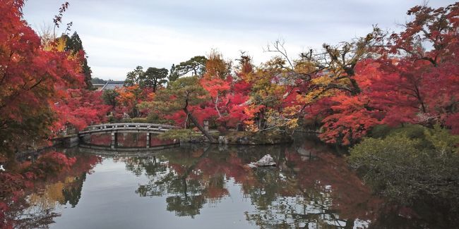 セリフ無しの劇「ギア」を観るために京都へ行き、開演までの時間で紅葉も見ることができ満足な一日でした。<br /><br />せっかく平日に京都へ行くのだから短い時間でも紅葉は絶対に見たいと思い、ルートはトラベラーさんの旅行記を参考にさせていただきました。<br />＜南禅寺～銀閣寺へ＞<br />南禅寺⇒永観堂⇒金光明寺⇒哲学の道⇒法然院⇒銀閣寺（約4.7㎞）　<br /><br />ところが、前日の天気予報で降水確率が50％になったので、これでは写真も撮れないだろうと諦めて、朝はやや遅めに家を出ました。（諦めが早いのがマツーの悪い癖？<br />京阪三条駅に到着すると「ん？ 雲間から日が差している。しまった？！」時刻は１０時過ぎ。開演までにまだ２時間以上ある。「南禅寺～永観堂なら行ける！」と、すぐに南禅寺へと歩きました。<br /><br />これまで、京都の紅葉シーズンになっても日程と天気の兼ね合いで、タイミングを失することが多かったように思います。<br />でも今年は、駆け足でしたが京都の紅葉を見ることができたので満足です。<br />駆け足でまわった「南禅寺」と「永観堂」の紅葉写真を掲載します。