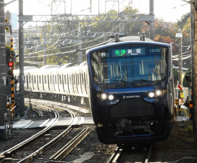 11月30日、神奈川県の相模鉄道は、念願の都心直通を実現した。<br /> これは、相鉄西谷駅から東海道貨物線の羽沢貨物駅まで新線を建設し、貨物線を利用して、新宿方面へ直通電車を走らせるものである。今回の開通で、相鉄線からJRの新宿駅まで、日中30分間隔で直通列車が運行されるようになり、相鉄沿線は便利になった。<br /> JRからは埼京線用の電車が乗り入れ、朝夕は、大宮まで行く電車も存在する。<br /> 数年後には、さらに羽沢駅で分岐した新線をのばして、新横浜駅を経由、東急東横線の日吉駅まで開通する予定で、そうなると、東急目黒線を経由して都内の地下鉄へ乗り入れることになる。<br /> 開通初日の沿線へ行き、ついでに、大和市の引地川源流となる「泉の森」や、相鉄いずみ野線沿線の、泉区岡津、戸塚区名瀬も散歩してみた。