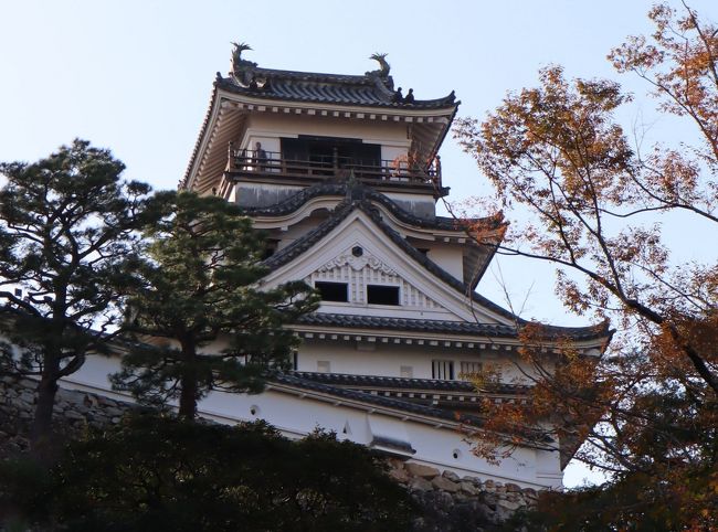 関ヶ原の戦いの功績により徳川家康から土佐一国を拝領した山内一豊が、慶長6年(1601)に築城工事を始め、慶長8年(1603)に本丸と二ノ丸が完成し 入城しています。三ノ丸を含めてほぼ全ての建物が完成したのは、 慶長16(1611)年のことでした。<br /><br />高知城は、江戸時代以前に建造された「現存12天守」の一つで、日本で唯一本丸の建築群(天守閣、本丸御殿)がすべて現存する城郭です。天守閣など15棟が国の重要文化財に指定されています。国指定の史蹟で、「日本100名城」にも選ばれています。<br /><br />土佐が誇る幕末のヒーロー坂本龍馬像が立つ桂浜は、高知県を代表する白砂青松が美しい景勝地です。雄大な太平洋に面して、龍頭岬と龍王岬の間に弓状に広がり、「月の名所は桂浜」とよさこい節でも唄われ、一帯は都市公園として整備されています。